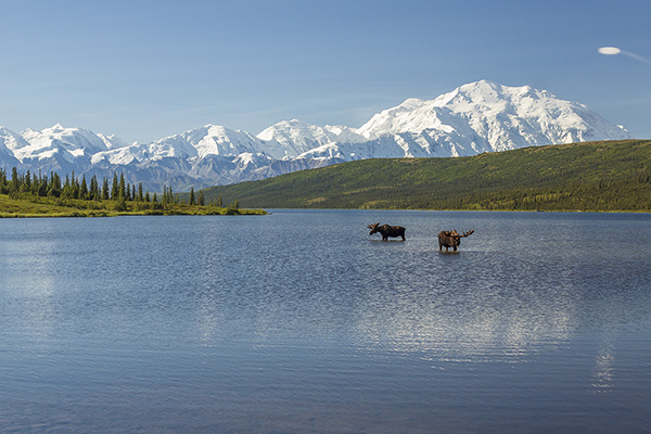 Alaska land and sea
